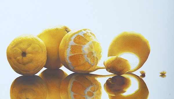 Lemon Rind by Anne-Marie Zanetti | Lethbridge Gallery